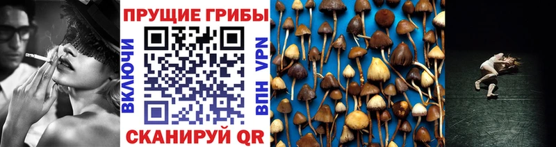 Псилоцибиновые грибы MAGIC MUSHROOMS  магазин  наркотиков  блэк спрут ссылки  Октябрьский 