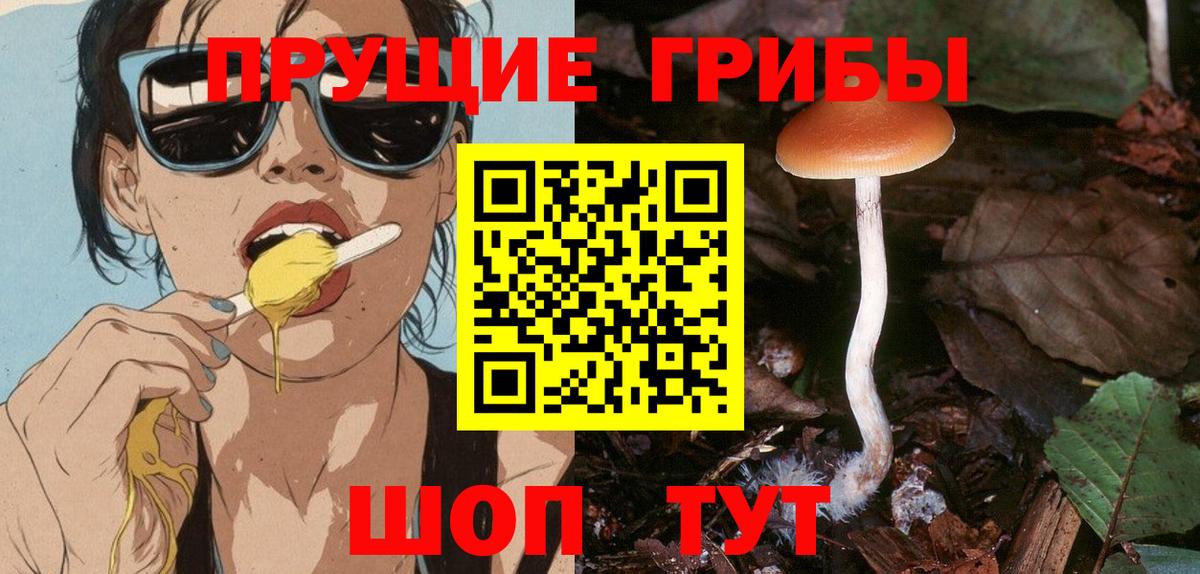 Галлюциногенные грибы мицелий  Псилоцибиновые грибы Cubensis  Октябрьский 
